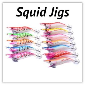 Squid Jigs