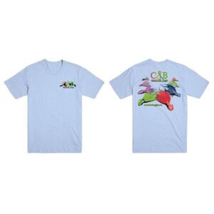 Ladies Light Blue T-Shirt