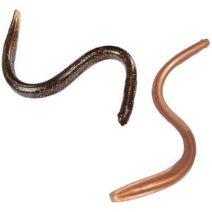 11" Sly Eels