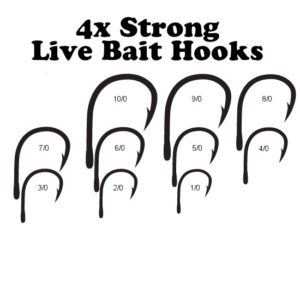 4X Strong Live Bait hooks 100ct
